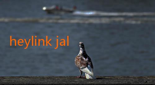 heylink jalalive-Hangtuah Bangun Chemistry Tim Lewat Pelatihan di Bali: Langkah Strategis Menuju Keunggulan