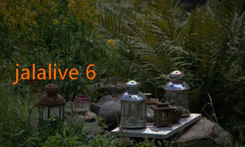 jalalive 6 live streaming-Cerita Sukses Akademi Persita dalam Mencetak Pemain Profesional
