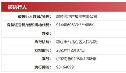 碧桂園地產集團被執行超9816萬